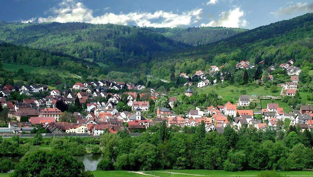 Hotel Krone Laudenbach  Экстерьер фото